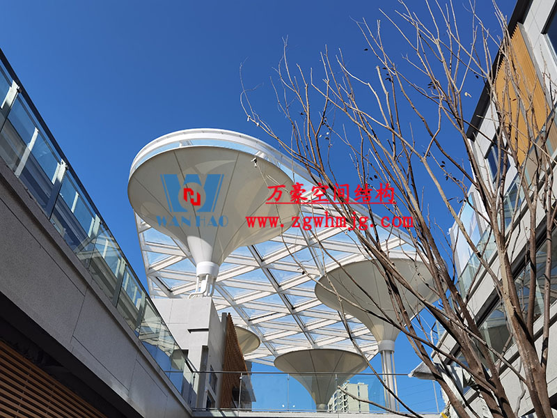 etfe膜結(jié)構(gòu) etfe膜結(jié)構(gòu)