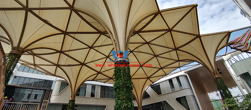 中國東盟特色商品匯聚中心膜鋼構(gòu)項(xiàng)目